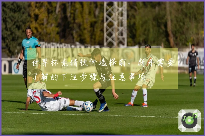 世界杯竞猜软件选择前，新手需要了解的下注步骤与注意事项