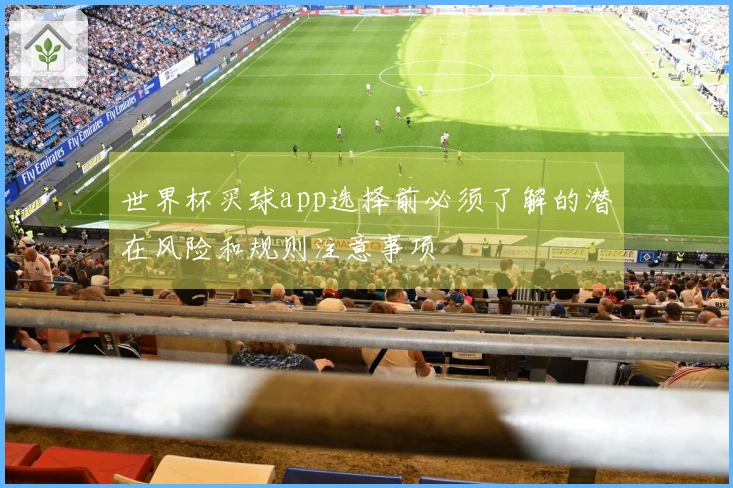 世界杯买球app选择前必须了解的潜在风险和规则注意事项