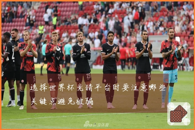 选择世界杯竞猜平台时要注意哪些关键点避免被骗
