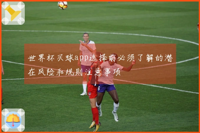 世界杯买球app选择前必须了解的潜在风险和规则注意事项