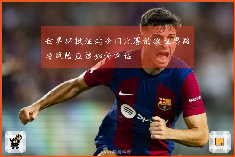 世界杯投注站冷门比赛的投注思路与风险应该如何评估